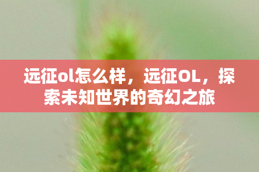 远征ol怎么样,远征OL,探索未知世界的奇幻之旅 远征ol怎么样,远征OL,探索未知世界的奇幻之旅