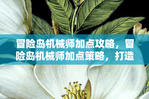 冒险岛机械师加点攻略,冒险岛机械师加点策略,打造高效战斗与辅助能力 冒险岛机械师加点攻略,冒险岛机械师加点策略,打造高效战斗与辅助能力