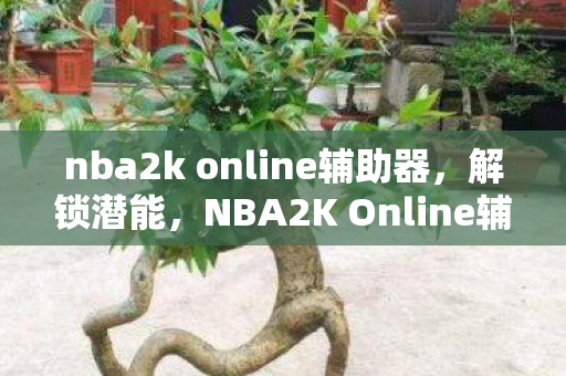 nba2k online辅助器,解锁潜能,NBA2K Online辅助的奥秘 nba2k online辅助器,解锁潜能,NBA2K Online辅助的奥秘