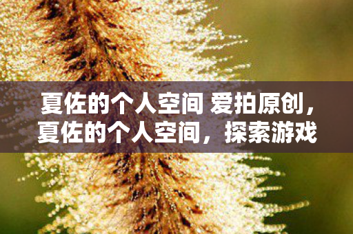 夏佐的个人空间 爱拍原创,夏佐的个人空间,探索游戏世界的无限可能 夏佐的个人空间 爱拍原创,夏佐的个人空间,探索游戏世界的无限可能