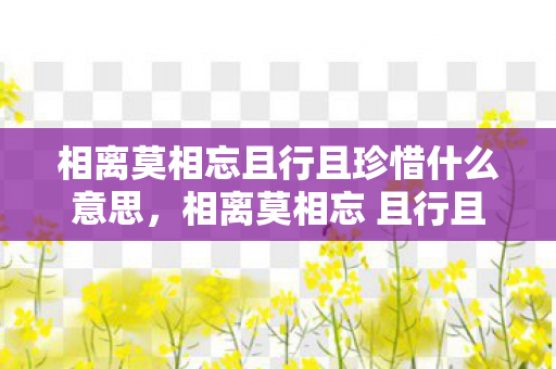 相离莫相忘且行且珍惜什么意思，相离莫相忘 且行且珍惜