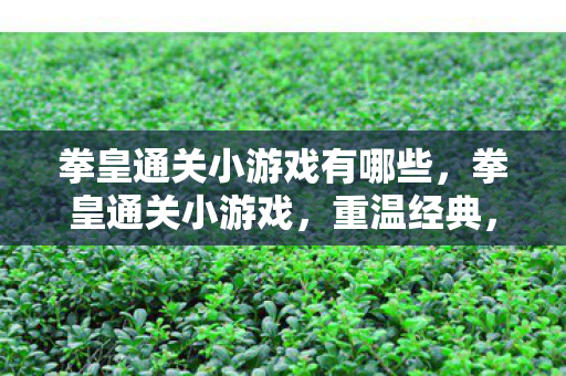 拳皇通关小游戏有哪些,拳皇通关小游戏,重温经典,挑战极限 拳皇通关小游戏有哪些,拳皇通关小游戏,重温经典,挑战极限