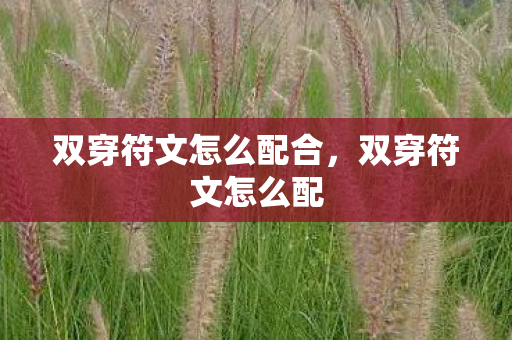 双穿符文怎么配合，双穿符文怎么配