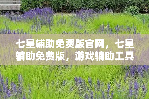 七星辅助免费版官网,七星辅助免费版,游戏辅助工具的新选择 七星辅助免费版官网,七星辅助免费版,游戏辅助工具的新选择
