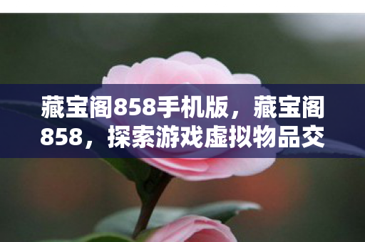 藏宝阁858手机版，藏宝阁858，探索游戏虚拟物品交易的奥秘