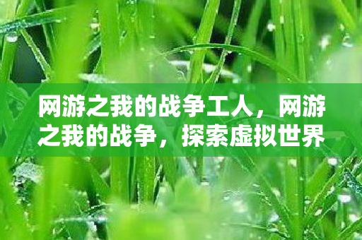 网游之我的战争工人,网游之我的战争,探索虚拟世界的无限可能 网游之我的战争工人,网游之我的战争,探索虚拟世界的无限可能