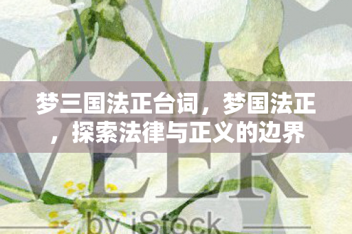 梦三国法正台词,梦国法正,探索法律与正义的边界 梦三国法正台词,梦国法正,探索法律与正义的边界