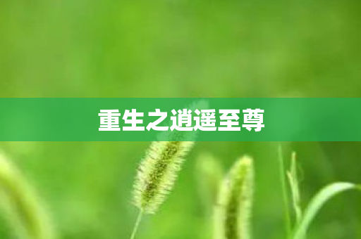 重生之逍遥至尊 重生之逍遥至尊