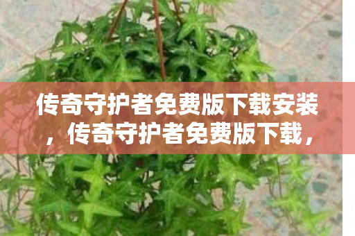 传奇守护者免费版下载安装,传奇守护者免费版下载,探索经典传奇的无限可能 传奇守护者免费版下载安装,传奇守护者免费版下载,探索经典传奇的无限可能