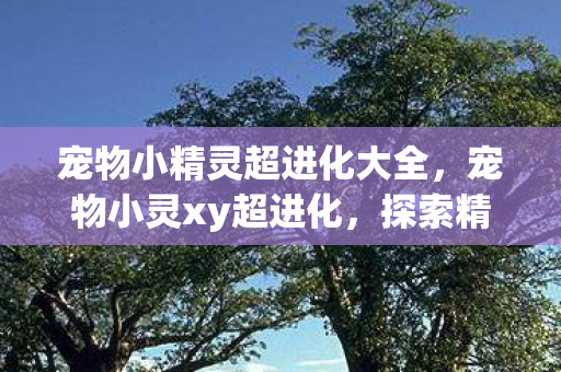 宠物小精灵超进化大全,宠物小灵xy超进化,探索精灵世界的奇妙旅程 宠物小精灵超进化大全,宠物小灵xy超进化,探索精灵世界的奇妙旅程