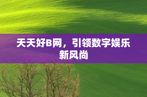 天天好B网,引领数字娱乐新风尚 天天好B网,引领数字娱乐新风尚
