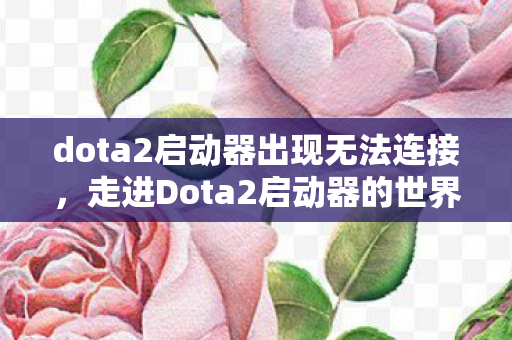 dota2启动器出现无法连接，走进Dota2启动器的世界，探索官方平台的魅力与功能
