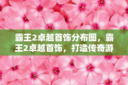 霸王2卓越首饰分布图，霸王2卓越首饰，打造传奇游戏的璀璨光芒
