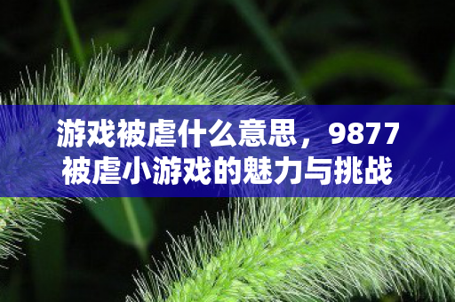 游戏被虐什么意思,9877被虐小游戏的魅力与挑战 游戏被虐什么意思,9877被虐小游戏的魅力与挑战