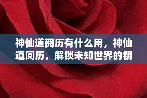 神仙道阅历有什么用，神仙道阅历，解锁未知世界的钥匙