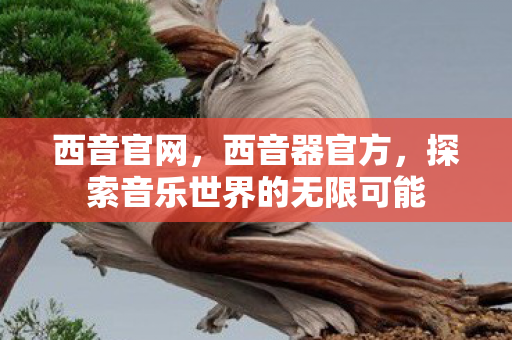 西音官网,西音器官方,探索音乐世界的无限可能 西音官网,西音器官方,探索音乐世界的无限可能