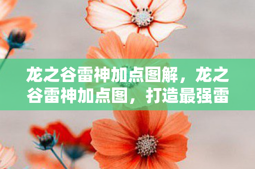 龙之谷雷神加点图解,龙之谷雷神加点图,打造最强雷神,点亮你的战斗之路 龙之谷雷神加点图解,龙之谷雷神加点图,打造最强雷神,点亮你的战斗之路