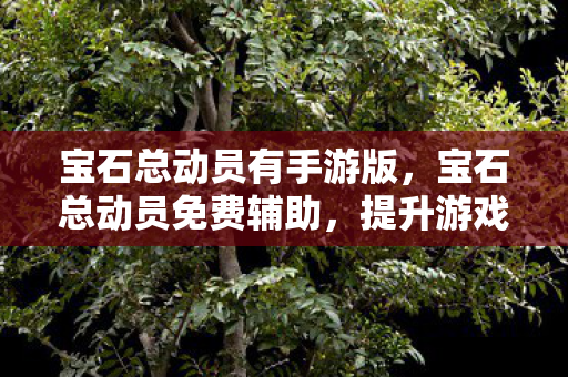 宝石总动员有手游版,宝石总动员免费辅助,提升游戏体验的得力助手 宝石总动员有手游版,宝石总动员免费辅助,提升游戏体验的得力助手