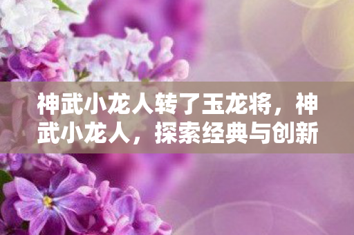 神武小龙人转了玉龙将,神武小龙人,探索经典与创新的完美结合 神武小龙人转了玉龙将,神武小龙人,探索经典与创新的完美结合