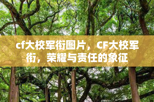 cf大校军衔图片,CF大校军衔,荣耀与责任的象征 cf大校军衔图片,CF大校军衔,荣耀与责任的象征