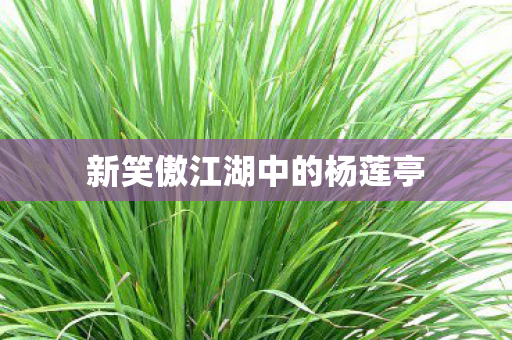 新笑傲江湖中的杨莲亭