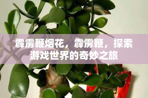 霹雳鞭烟花，霹雳鞭，探索游戏世界的奇妙之旅