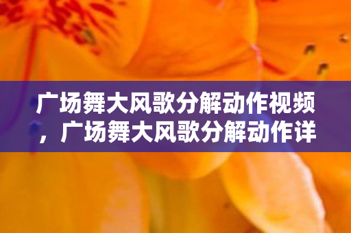 广场舞大风歌分解动作视频，广场舞大风歌分解动作详解