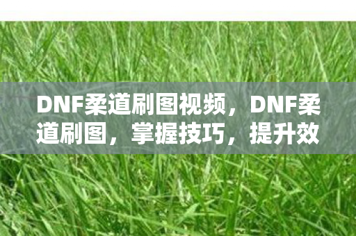 DNF柔道刷图视频,DNF柔道刷图,掌握技巧,提升效率 DNF柔道刷图视频,DNF柔道刷图,掌握技巧,提升效率
