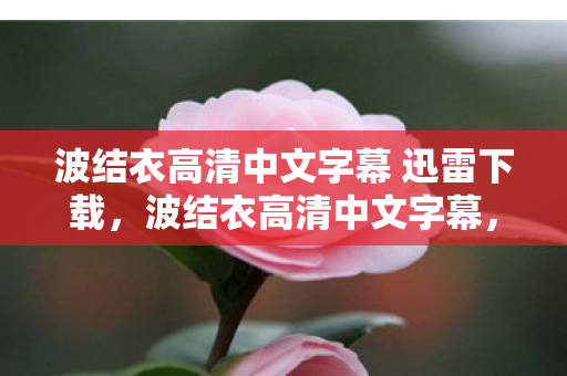 波结衣高清中文字幕 迅雷下载，波结衣高清中文字幕，沉浸式观影新体验