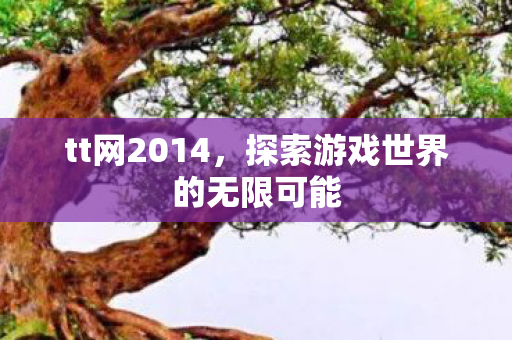 tt网2014,探索游戏世界的无限可能 tt网2014,探索游戏世界的无限可能