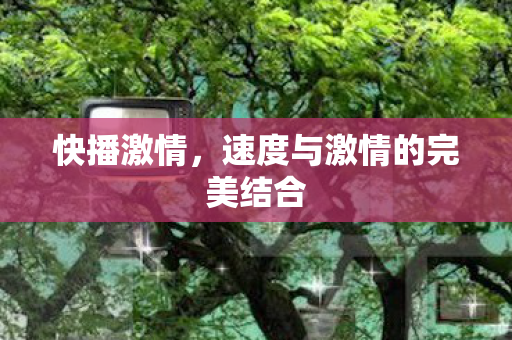 快播激情,速度与激情的完美结合 快播激情,速度与激情的完美结合