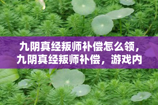 九阴真经叛师补偿怎么领,九阴真经叛师补偿,游戏内师徒关系的深度剖析与补偿机制探讨 九阴真经叛师补偿怎么领,九阴真经叛师补偿,游戏内师徒关系的深度剖析与补偿机制探讨