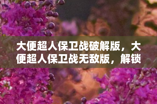 大便超人保卫战破解版，大便超人保卫战无敌版，解锁无限可能的冒险之旅