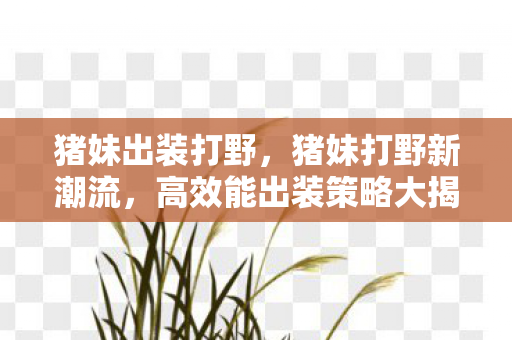 猪妹出装打野,猪妹打野新潮流,高效能出装策略大揭秘 猪妹出装打野,猪妹打野新潮流,高效能出装策略大揭秘