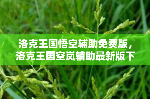 洛克王国悟空辅助免费版,洛克王国空岚辅助最新版下载,安全、高效、便捷的游戏体验 洛克王国悟空辅助免费版,洛克王国空岚辅助最新版下载,安全、高效、便捷的游戏体验