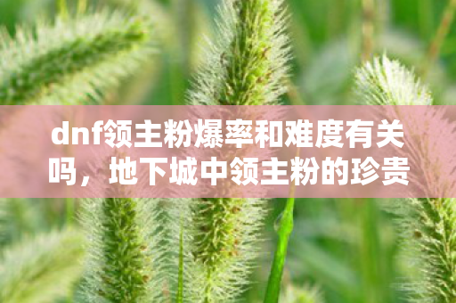 dnf领主粉爆率和难度有关吗,地下城中领主粉的珍贵与追求,揭秘真实爆率背后的故事 dnf领主粉爆率和难度有关吗,地下城中领主粉的珍贵与追求,揭秘真实爆率背后的故事