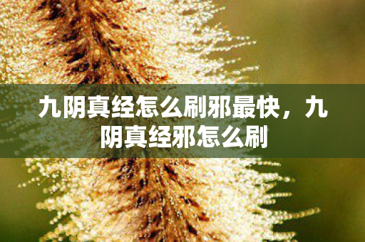 九阴真经怎么刷邪最快,九阴真经邪怎么刷 九阴真经怎么刷邪最快,九阴真经邪怎么刷