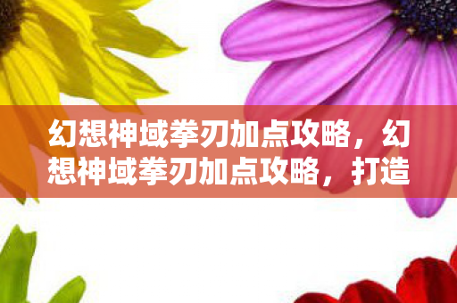 幻想神域拳刃加点攻略，幻想神域拳刃加点攻略，打造最强近战输出