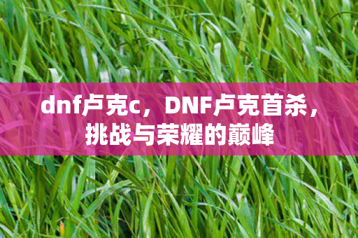 dnf卢克c,DNF卢克首杀,挑战与荣耀的巅峰 dnf卢克c,DNF卢克首杀,挑战与荣耀的巅峰