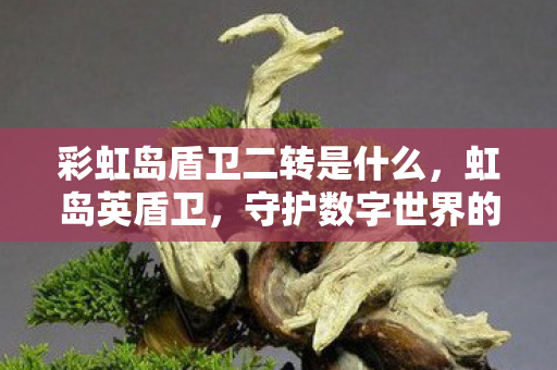 彩虹岛盾卫二转是什么,虹岛英盾卫,守护数字世界的坚固防线 彩虹岛盾卫二转是什么,虹岛英盾卫,守护数字世界的坚固防线