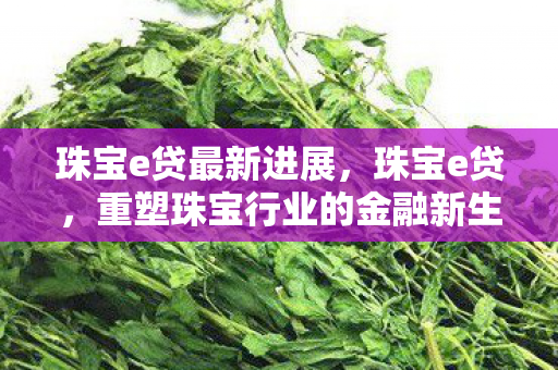 珠宝e贷最新进展，珠宝e贷，重塑珠宝行业的金融新生态
