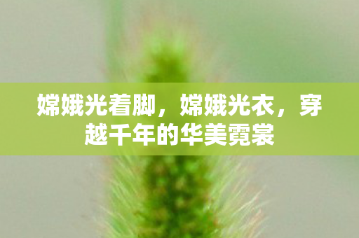 嫦娥光着脚,嫦娥光衣,穿越千年的华美霓裳 嫦娥光着脚,嫦娥光衣,穿越千年的华美霓裳