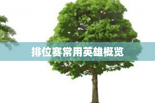 排位赛常用英雄概览 排位赛常用英雄概览