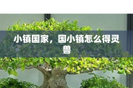 小镇国家，国小镇怎么得灵兽
