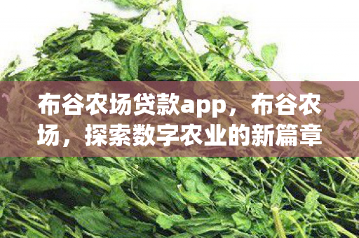 布谷农场贷款app，布谷农场，探索数字农业的新篇章