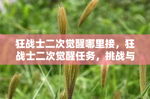 狂战士二次觉醒哪里接,狂战士二次觉醒任务,挑战与机遇并存的冒险之旅 狂战士二次觉醒哪里接,狂战士二次觉醒任务,挑战与机遇并存的冒险之旅