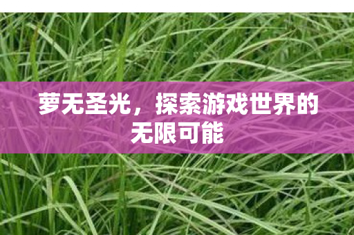 萝无圣光,探索游戏世界的无限可能 萝无圣光,探索游戏世界的无限可能