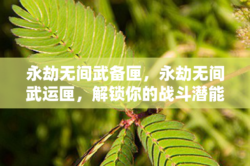 永劫无间武备匣，永劫无间武运匣，解锁你的战斗潜能