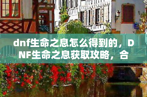 dnf生命之息怎么得到的，DNF生命之息获取攻略，合法途径与高效方法