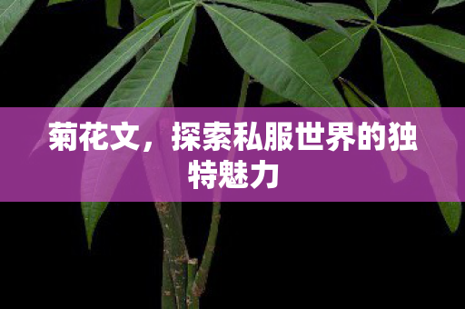 菊花文,探索私服世界的独特魅力 菊花文,探索私服世界的独特魅力